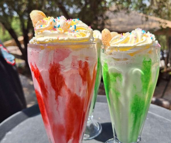 WhatsApp Image 2024-10-27 at 14.47.04_90215169-min